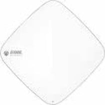 Point d'Accès Extreme Networks AP510C-WW Blanc