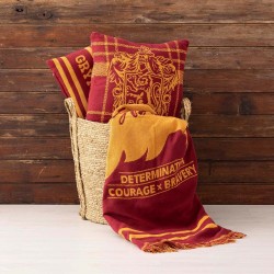 Decke Harry Potter Gryffindor Values Bunt 130 x 2 x 170 cm