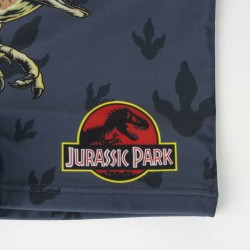 Boys Swim Shorts Jurassic Park Dark grey