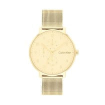 Herrenuhr Calvin Klein 25200403 Gold