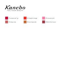 Lippenprofiler Colours Kanebo