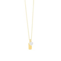 Collier Femme Secrecy P7213CDAWWC93 42 cm