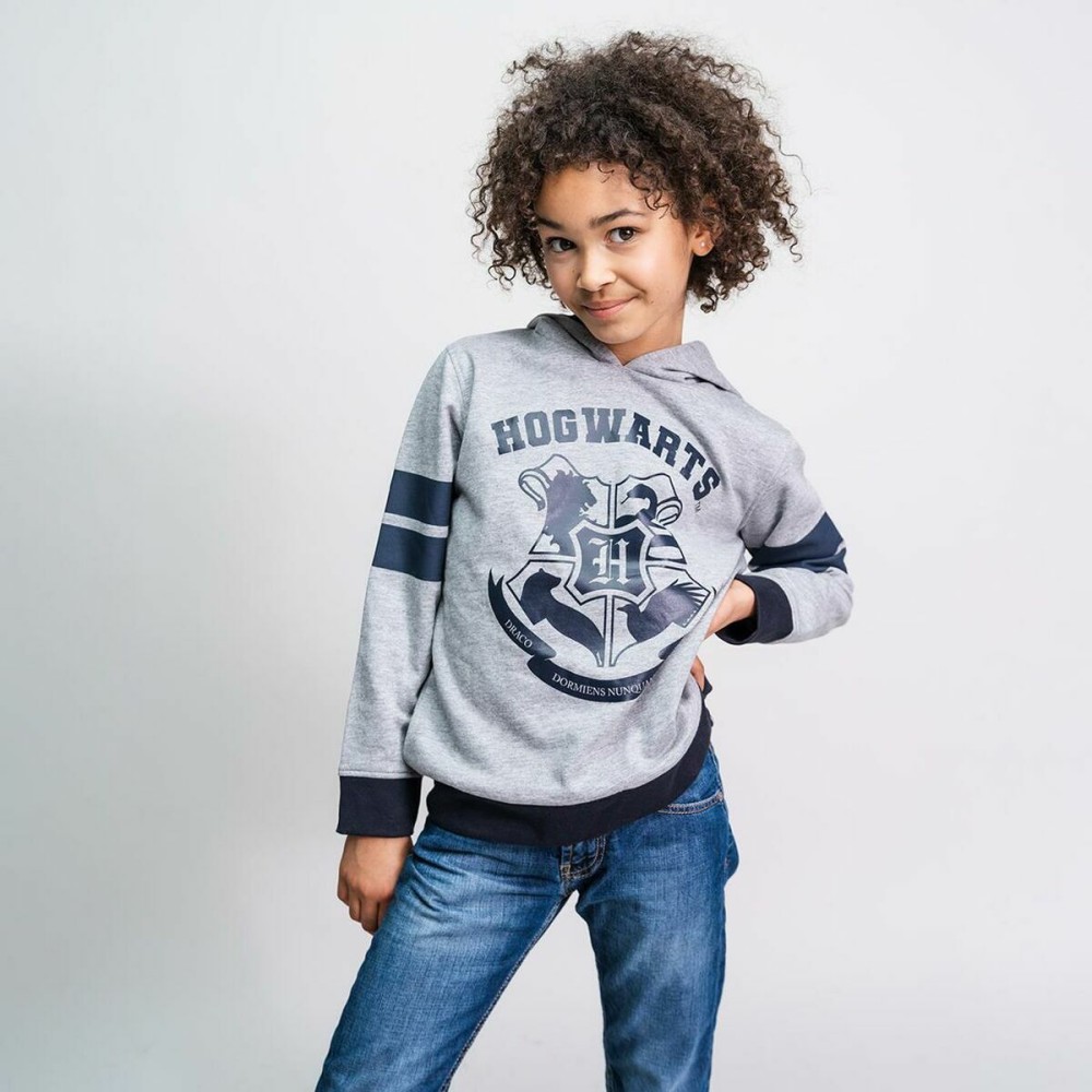 Jungen Sweater mit Kapuze Harry Potter Grau