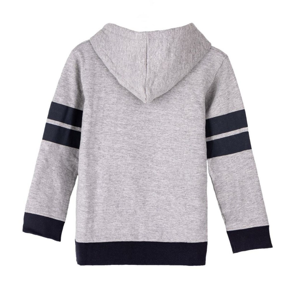 Jungen Sweater mit Kapuze Harry Potter Grau