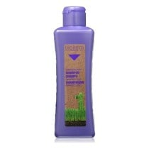 Shampoing de Lavage en Profondeur Biokera Grapeology Salerm (300 ml)