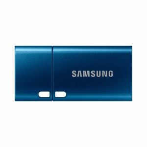 Clé USB Samsung MUF-256DA Bleu 256 GB