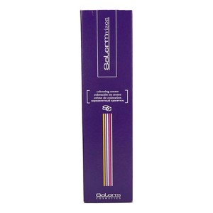 Teinture permanente Salermvison Salerm 4,75 (75 ml)