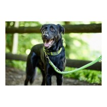 Dog Lead Hunter HILO Lime (200 cm)