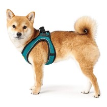 Harnais pour Chien Hunter Hilo Comfort 55-60 cm Taille M Turquoise