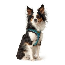 Dog Harness Hunter Hilo Comfort 55-60 cm Size M Turquoise