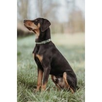 Hundehalsband Hunter grün 40-55 cm L