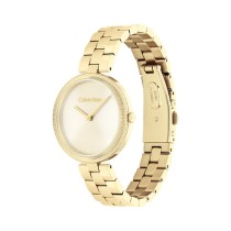 Ladies' Watch Calvin Klein 25100014