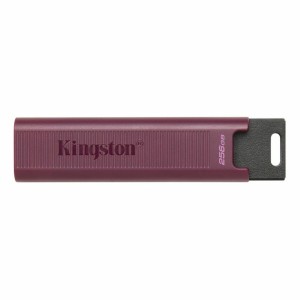 Clé USB   Kingston Max         Rouge 256 GB  