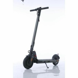 Electric Scooter Wispeed T855 Khaki 350 W