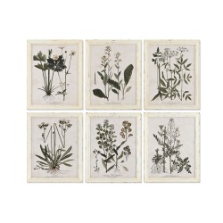 Bild Home ESPRIT Shabby Chic Botanische Pflanzen 40 x 1,5 x 50 cm (6 Stück)