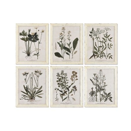 Painting Home ESPRIT Shabby Chic Botanical plants 40 x 1,5 x 50 cm (6 Units)