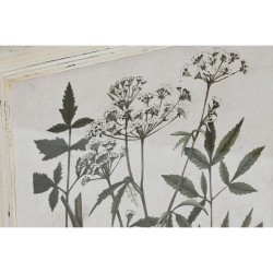 Painting Home ESPRIT Shabby Chic Botanical plants 40 x 1,5 x 50 cm (6 Units)