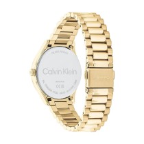 Herrenuhr Calvin Klein 25200232