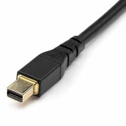 Mini-DisplayPort-Kabel zu DisplayPort Startech DP14MDPMM1MB         Schwarz