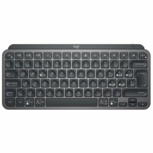 Keyboard Logitech 920-010488 Black QWERTY