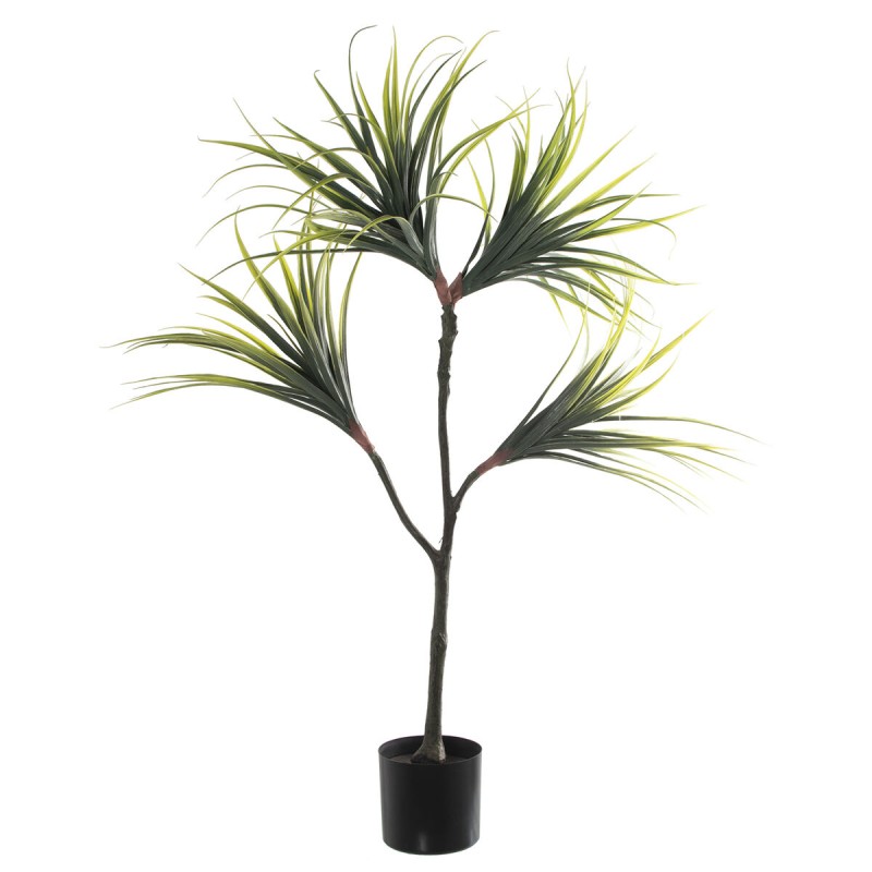 Plante décorative Alexandra House Living Plastique Dracaena 15 x 27 x 121 cm