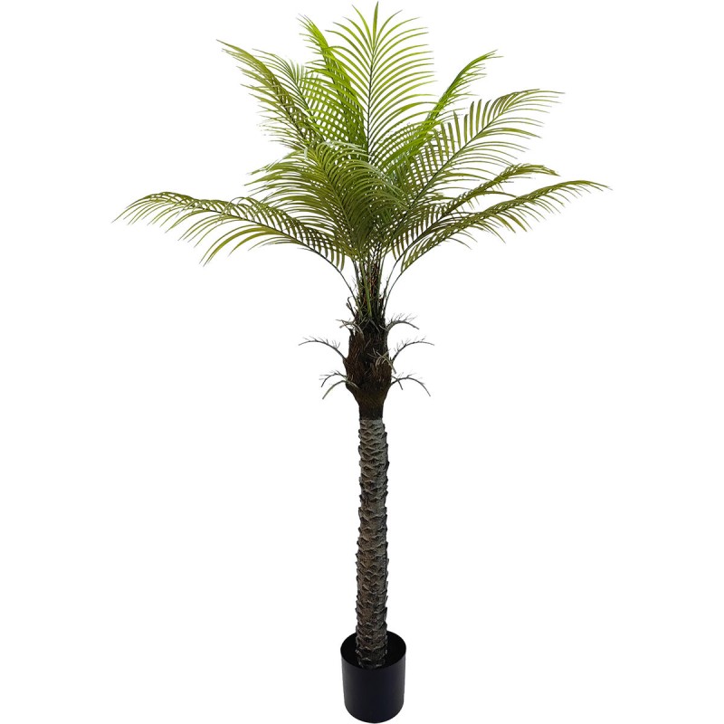 Decorative Plant Alexandra House Living Plastic Palm tree 180 cm