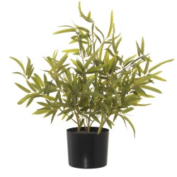 Decorative Plant Alexandra House Living Plastic Bamboo 14 x 14 x 54 cm