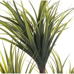 Plante décorative Alexandra House Living Plastique Dracaena 15 x 27 x 121 cm