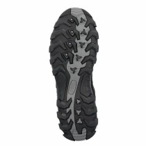 Chaussures de Running pour Adultes Campagnolo Rigel Low Wp Gris Montagne