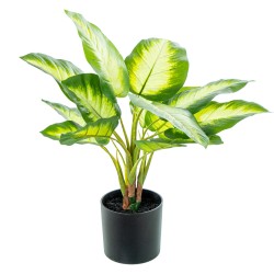 Decorative Plant Alexandra House Living Plastic Aglaonema 50 cm