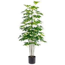 Dekorationspflanze Alexandra House Living Kunststoff Schefflera 125 cm