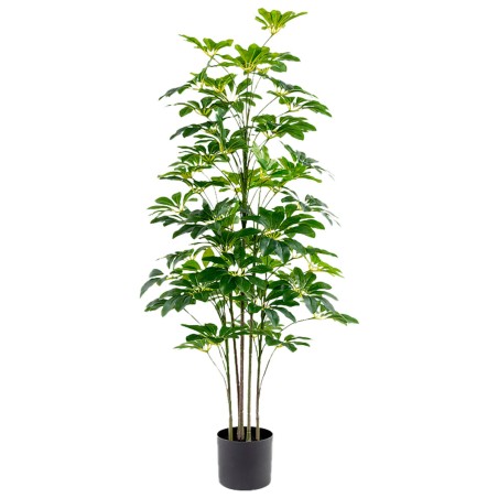 Decorative Plant Alexandra House Living Plastic Schefflera 125 cm