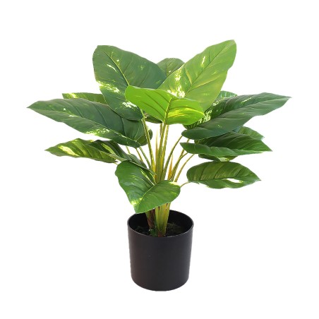 Plante décorative Alexandra House Living Plastique 50 cm