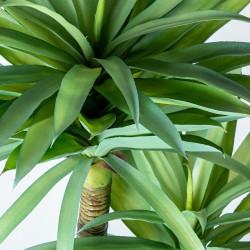 Plante décorative Alexandra House Living Plastique yucca 120 cm