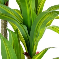 Plante décorative Alexandra House Living Plastique Dracaena 180 cm