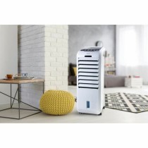 Air Cooler DOMO DO153A