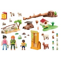 Playset   Playmobil         63 Pièces  