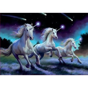 Puzzle Educa Unicorns (Anne Stokes) 1000 Pièces