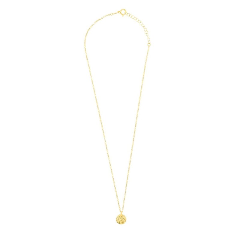 Collier Radiant RY000028 50 cm