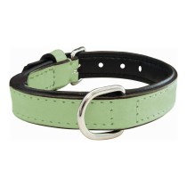 Collier pour Chien Gloria Rembourré Vert (50 x 2,5 cm)