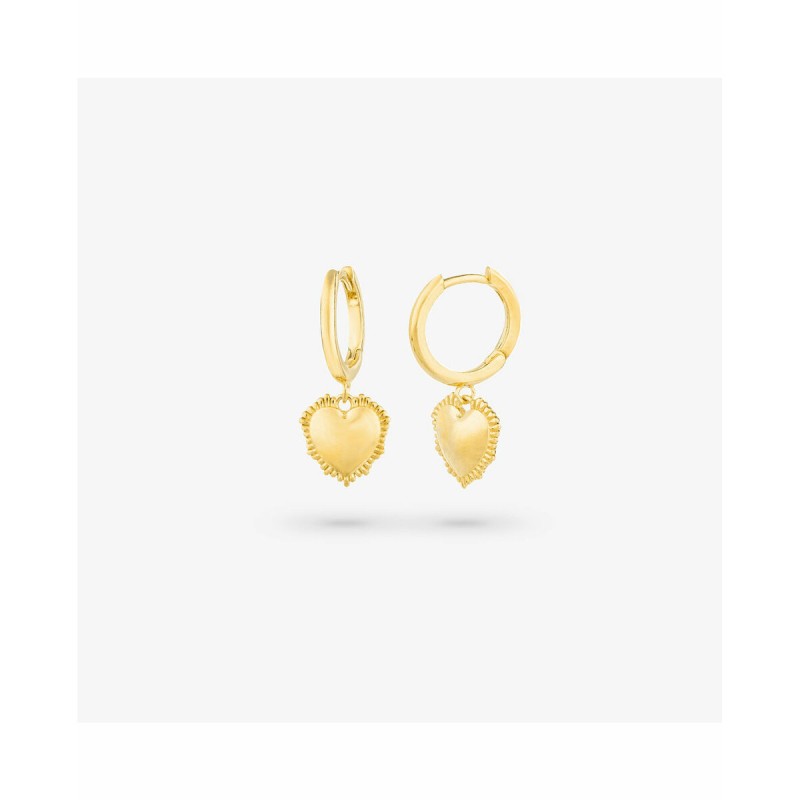 Boucles d´oreilles Femme Radiant RY000056 Acier inoxydable 2,5 cm