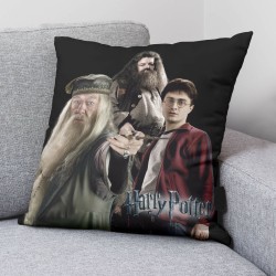 Housse de coussin Harry Potter Team Multicouleur 50 x 50 cm