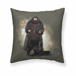 Kissenbezug Harry Potter Hagrid Bunt 50 x 50 cm