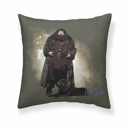 Cushion cover Harry Potter Hagrid Multicolour 50 x 50 cm