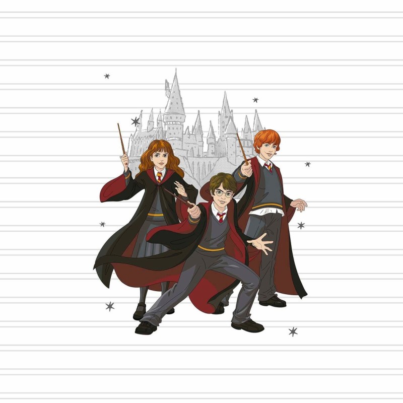 Bettdeckenbezug Harry Potter Team Bunt 175 Fäden 180 x 220 cm Einzelmatratze