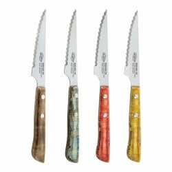 Steakmesser-Set San Ignacio Evergreen BGEU-6076 Bunt Edelstahl (4 Stück)