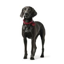 Hundehalsband Hunter Aalborg Rot L 45-55 cm