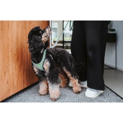 Hundegeschirr Hunter Comfort Rosa XXS 26-30 cm