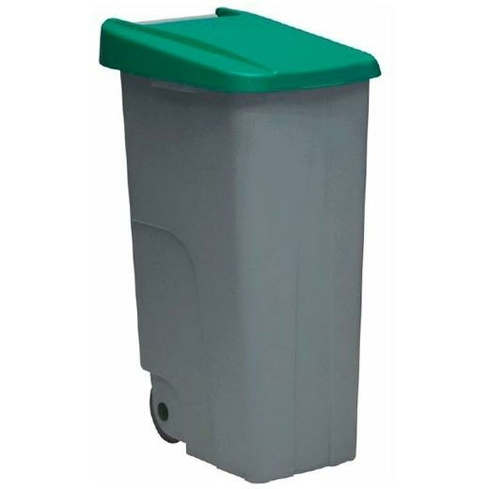 Poubelle Denox 110 L Vert Plastique