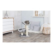 Grattoir pour Chats Trixie 44567 Arbre Sisal Noir Ø 8 cm 62 cm 36 x 36 cm